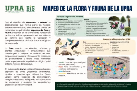 Infografía Desarrollo Sustentable Ecología Ilustrado Verde (1)